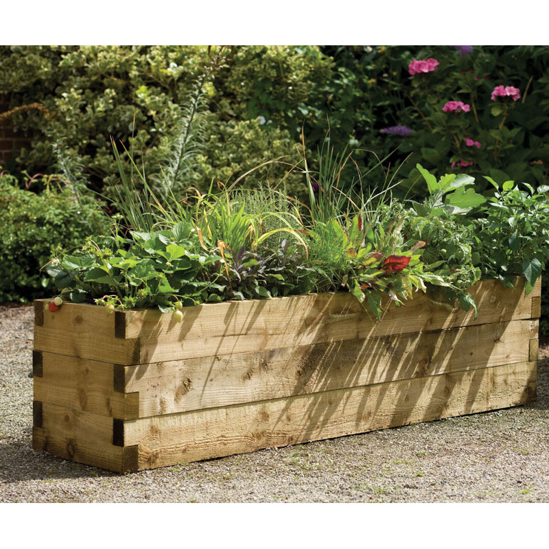 Bel Étage Caledonian 180cm x 45cm Wooden Raised Flower Bed & Reviews